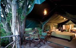 Tented Safari Camp